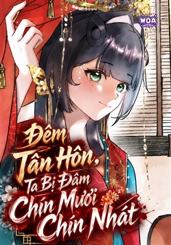Đêm Tân Hôn, Ta Bị Đâm Chín Mươi Chín Nhát